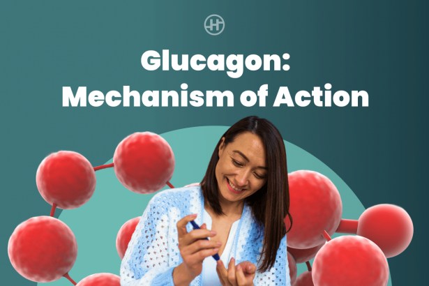 glucagon-mechanism-of-action:-key-to-blood-sugar-control